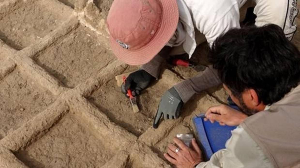 Arqueólogos durante unos trabajos en un jardín funerario de hace casi 4.000 años, en Luxor, Egipcio