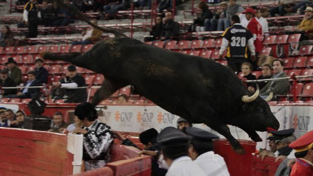 El espectacular salto del toro «Trueno» al callejón de la Plaza México