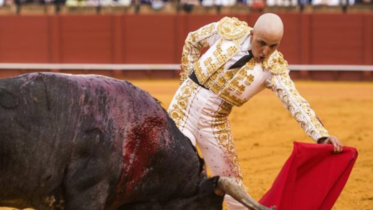 Javier Castaño, la tarde de su reaparición en la Maestranza