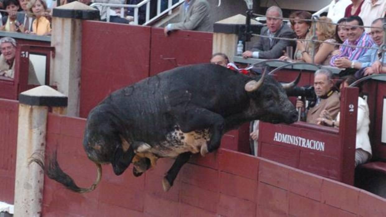 Un toro salta al callejón de Las Ventas (imagen de archivo)