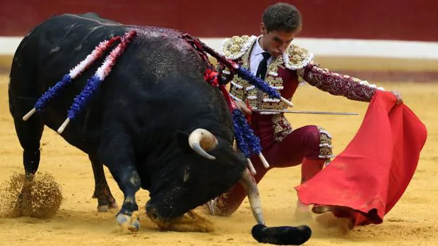 EH Bildu pide que no haya corridas de toros en San Sebastián