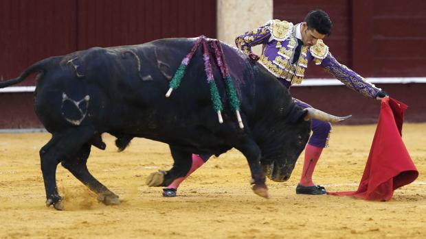 Comienzan las obras para modernizar la plaza de toros de la Malagueta