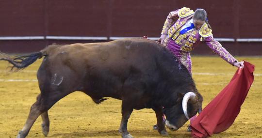 Rocío Romero, al natural