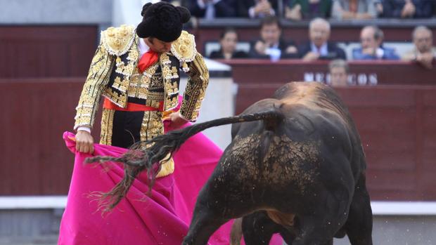 Morante, «lo mejor del toreo universal», premio de Cultura de la Comunidad de Madrid