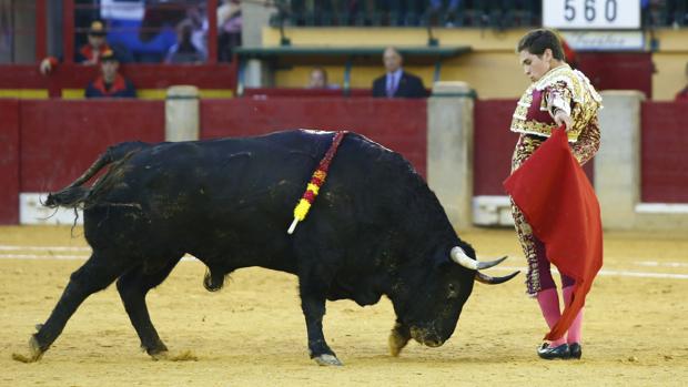 Aragón rechaza la propuesta de Podemos de prohibir la entrada de los niños a los toros