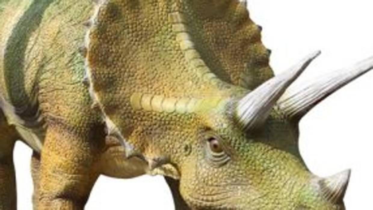 Dinosaurio herbívoro