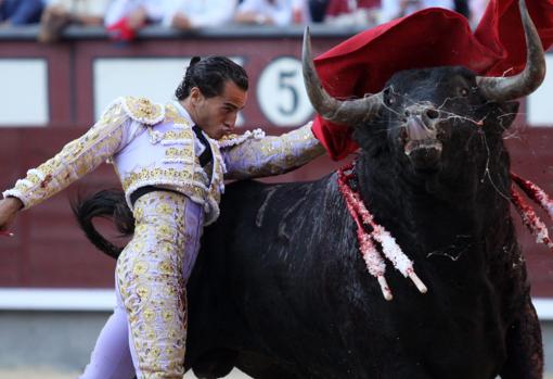 Fandiño, en un profundo pase de pecho a «Podador», el último cuadri al que se ha cortado oreja en Las Ventas