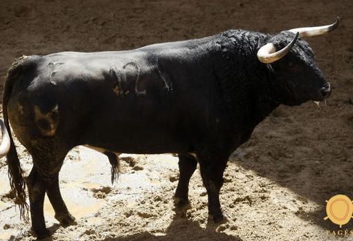 Feria de Abril de Sevilla 2018: Seis toros de Cuvillo para la novena de abono