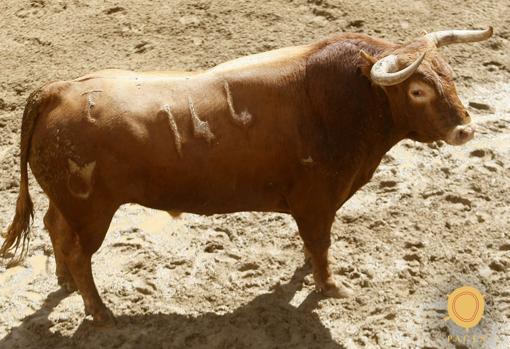 Feria de Abril de Sevilla 2018: Seis toros de Cuvillo para la novena de abono