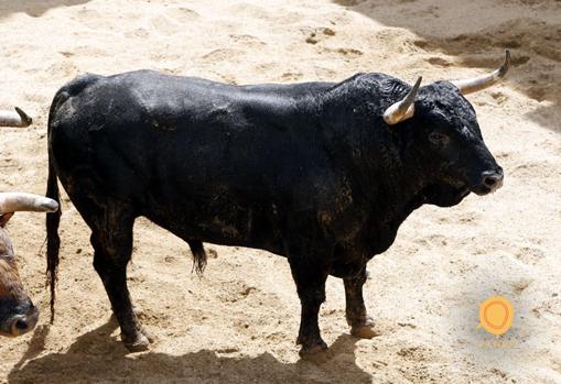 Feria de Abril de Sevilla 2018: Seis toros de Fuente Ymbro para Padilla, El Cid y Fandi
