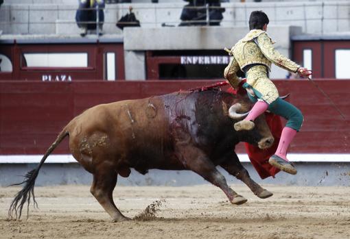 García Navarrete sufre una cornada al entrar a matar en Las Ventas