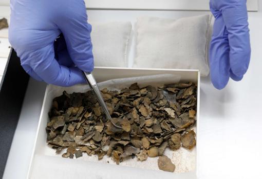 Centenares de fragmentos estaban almacenados en cajas de puros
