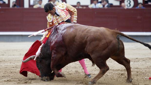 San Isidro: lidiar un manso sí tiene premio