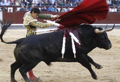 Roca Rey empezó la faena al sexto con estatuarios