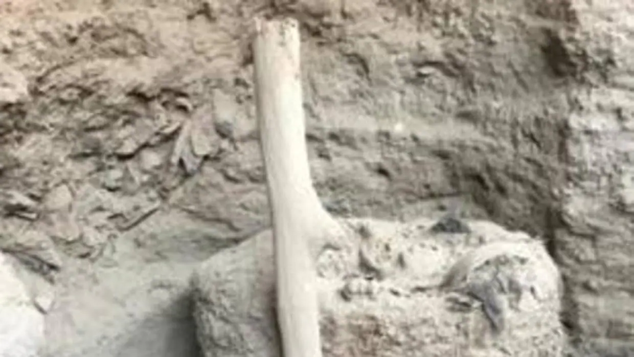 El fardo funerario encontrado en Pachacámac