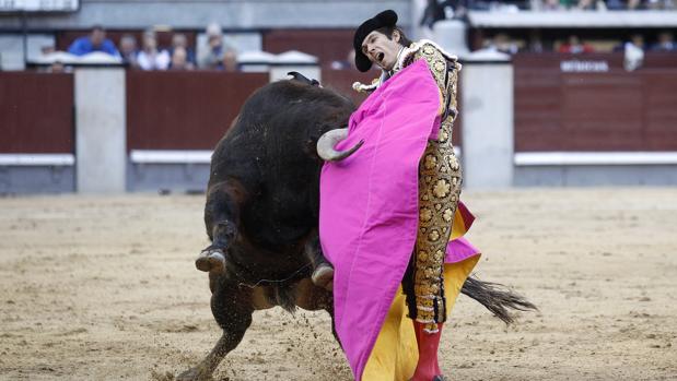 Cogida y Puerta Grande de Castella en San Isidro