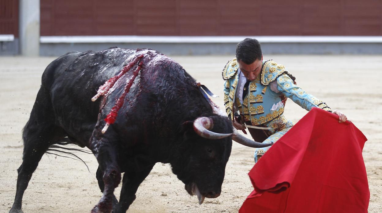 Octavio Chacón se dobla con el toro