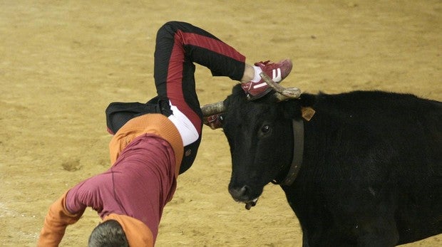 Una vaquilla propina una grave cornada a un hombre en Teruel