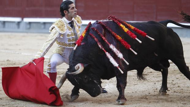 Alejandro Talavante, ¿dos bolitas en la Feria de Otoño?