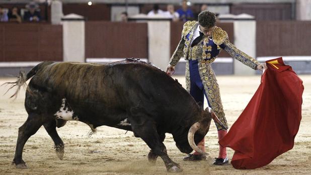 Interesante novillada de Dolores Aguirre en Las Ventas