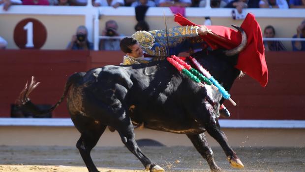 El estremecedor parte médico de Thomas Joubert