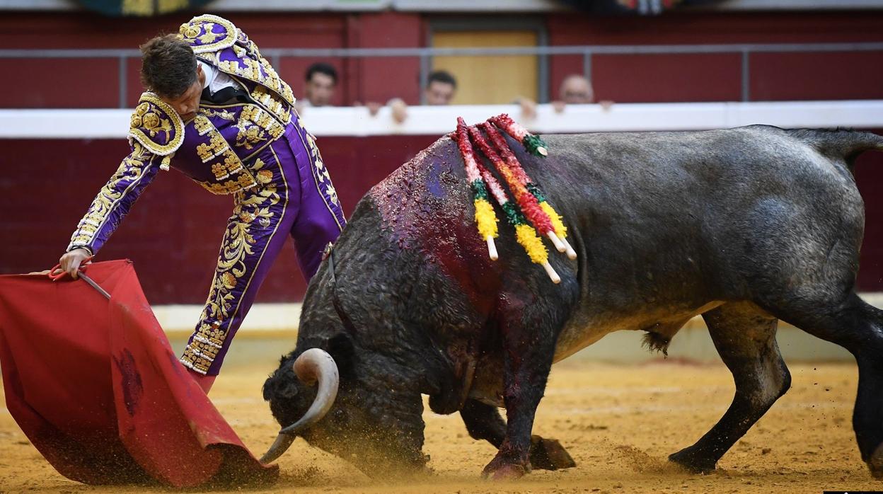 Derechazo de Escribano al cárdeno victorino, que humilla