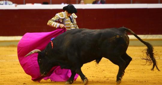 Ginés Marín se lució con el capote