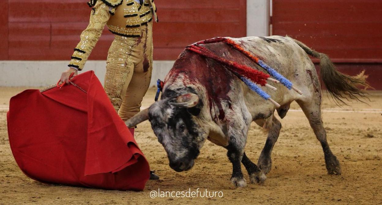 Juan Bautista, con uno de los torrrestrellas lidiados en Las Rozas