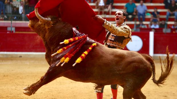 La ofrenda del Pilar