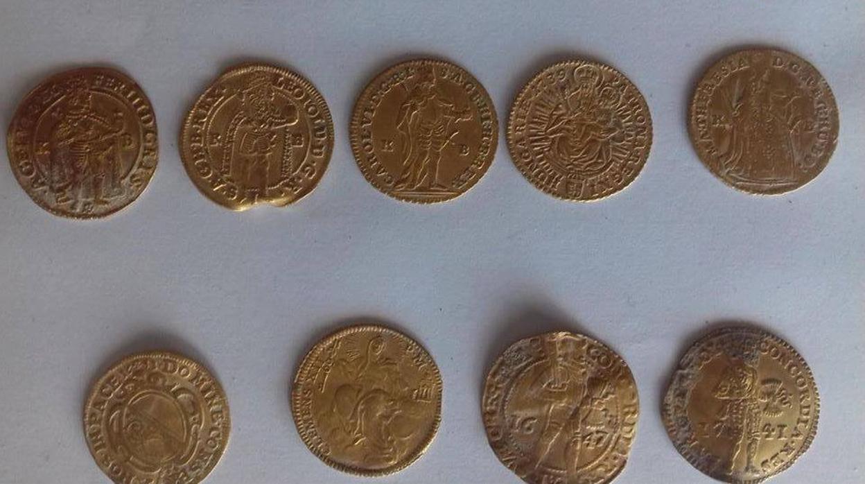 Algunas de las monedas halladas en el Danubio