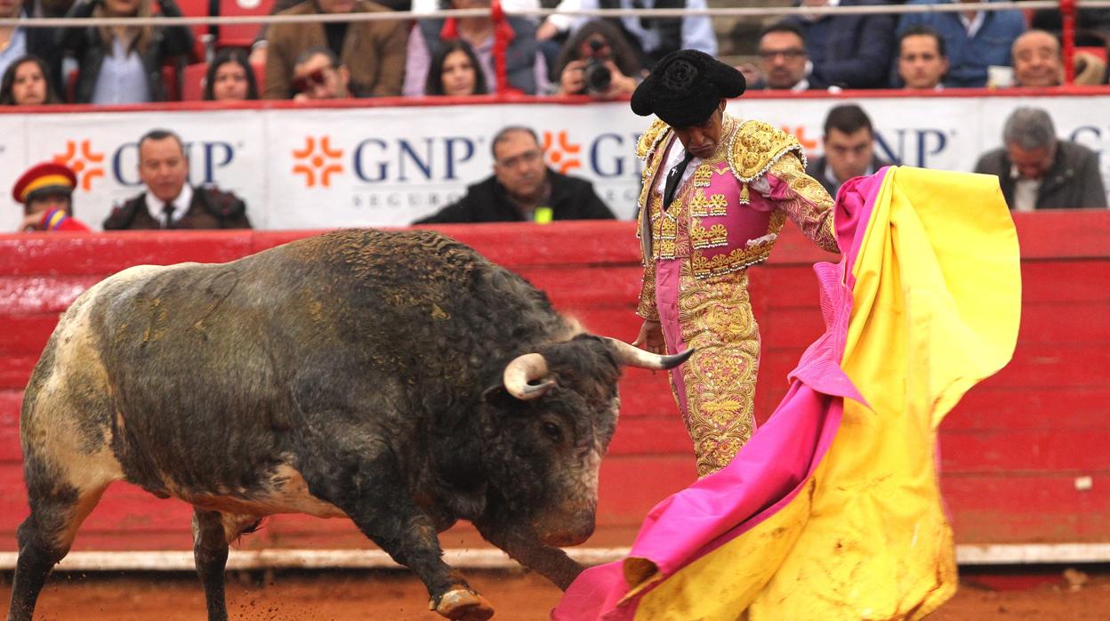 Ignacio Garibay, con su último toro, «Matita de Romero»