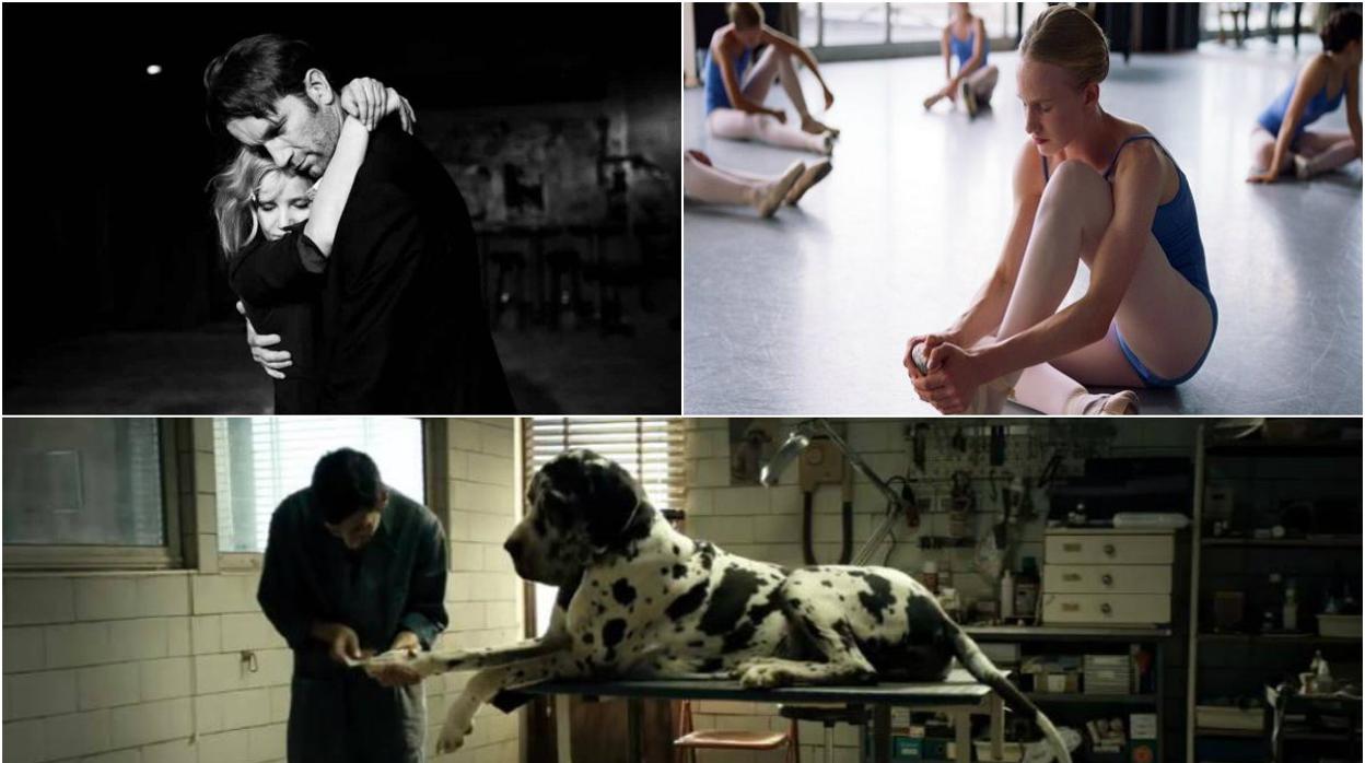 Fotogramas de las películas «Cold War», «Girl» y «Dogman»