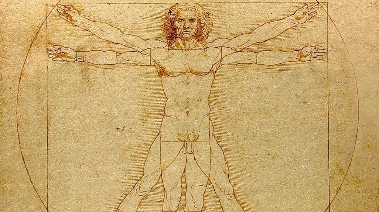 «El hombre de Vitruvio», de Leonardo. Detalle