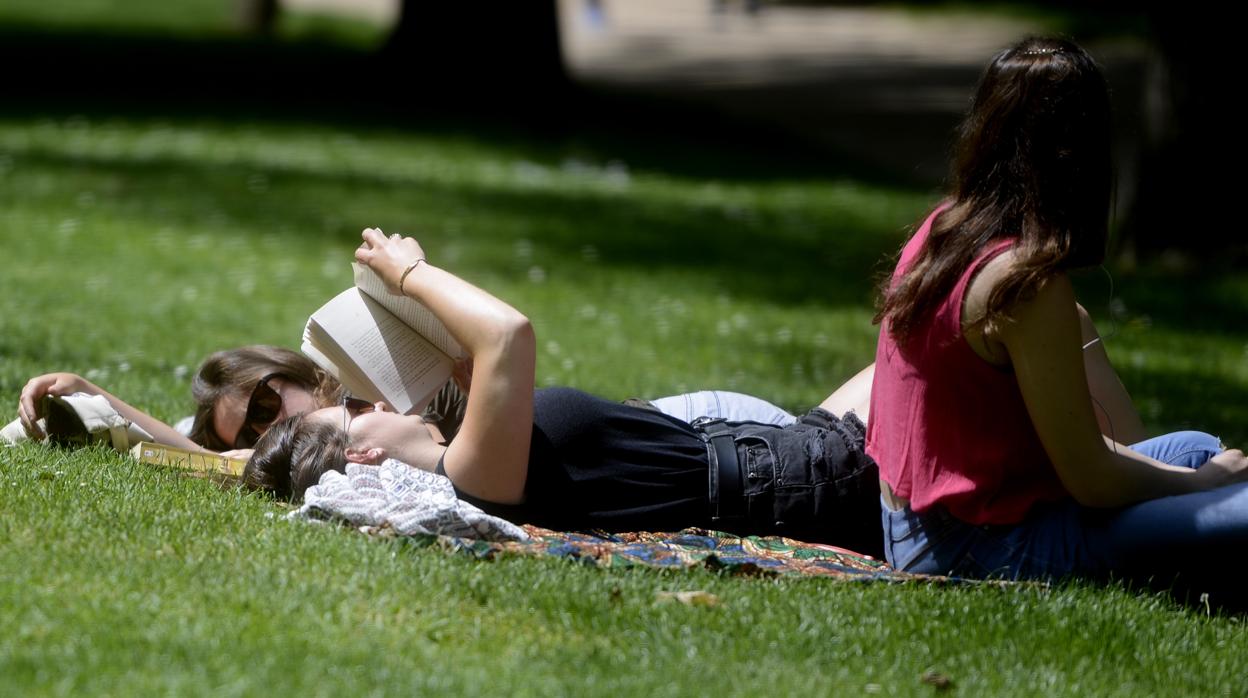 Lectura en el parque del Retiro (Madrid)
