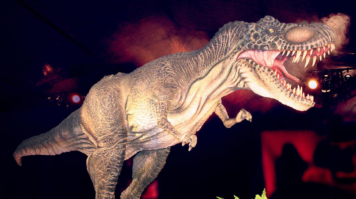El Tiranousaurio Rex es la joya de la corona de la exposición