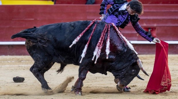 Un huracán llamado Roca Rey en la Feria de Fallas