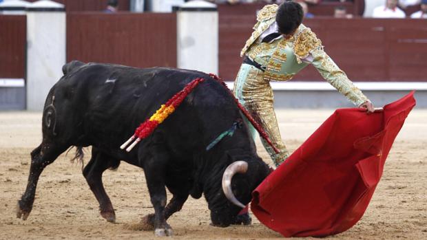 Oreja para Francisco de Manuel con un bravo novillo de Fuente Ymbro en Las Ventas