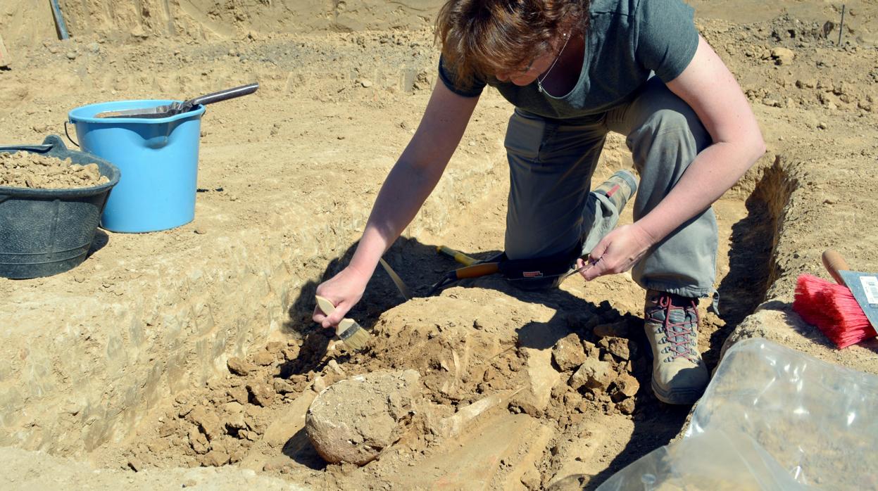 Un arqueólogo destapa una de las tumbas romanas halladas en Palencia