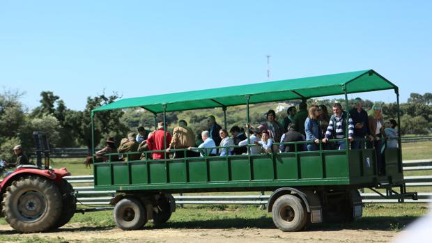 Pagés invita a los aficionados de Sevilla a una jornada de campo en la ganadería Soto de la Fuente