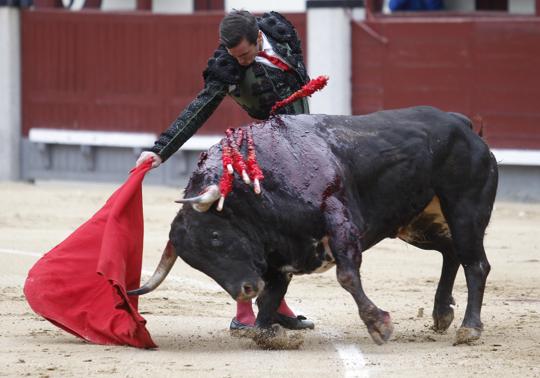 Derechazo de Juan Ortega