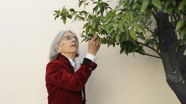 Donna Leon: «Buscamos en la ficción criminal una forma de justicia que en la vida real ya no existe»