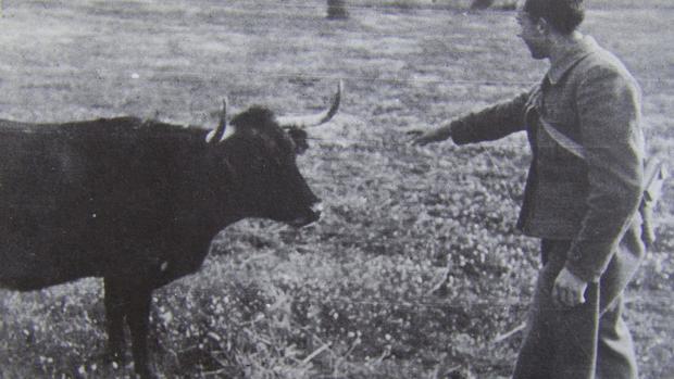 Miguel Hernández, la alegoría de la tauromaquia