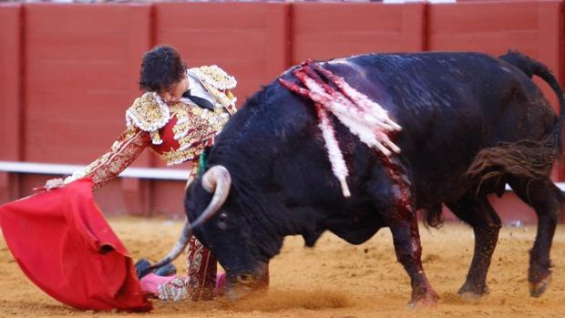 Directo: Roca Rey, dos orejas con petición de rabo en Sevilla tras una faena de locura