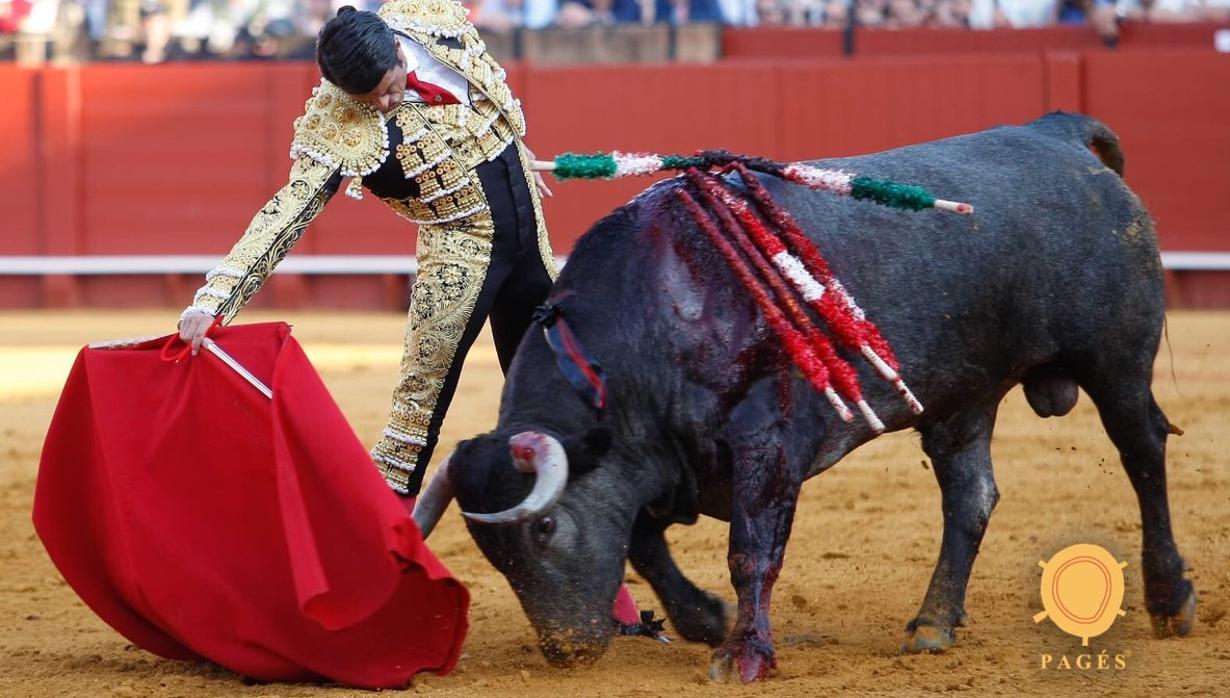 Emilio de Justo, en un templado derechazo al tercer toro de Victorino