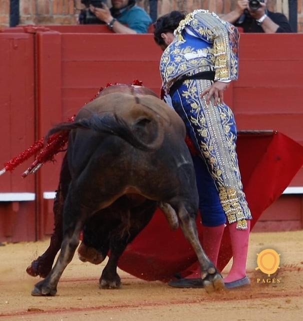 La torera entrega de Morante en una descastada corrida de Juan Pedro en Sevilla