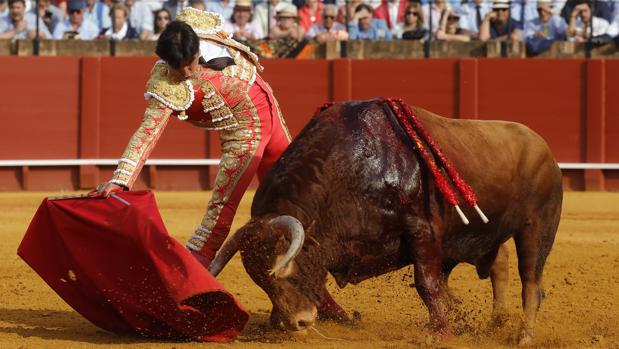 Oreja a Miguel Ángel Perera con un gran toro de Santiago Domecq en Sevilla