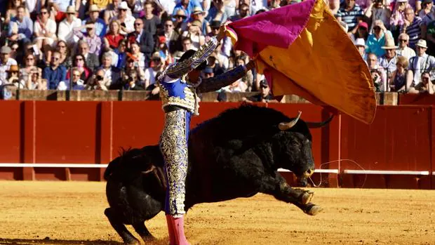 Toros en Sevilla: ¡Niño, apúntame a Fuente Ymbro!
