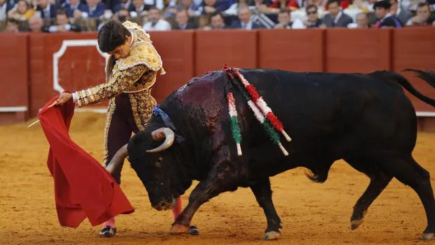 «Mejor lección torera», nuevo premio para Pablo Aguado