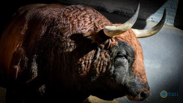 En directo: toros de Fuente Ymbro para Finito, Urdiales y Perera en San Isidro