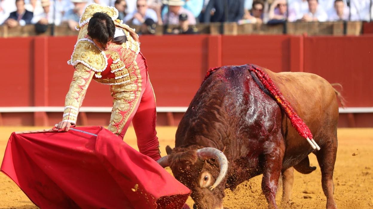 Miguel Ángel Perera en la faena del toro premiado con la vuelta al ruedo y por Los 40